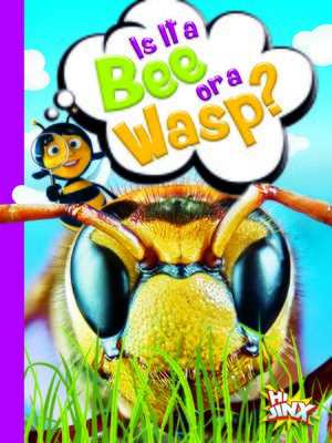 cover image of Is It a Bee or a Wasp?